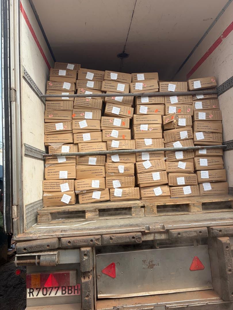 Équipe au travail près de marchandises chargées dans un camion